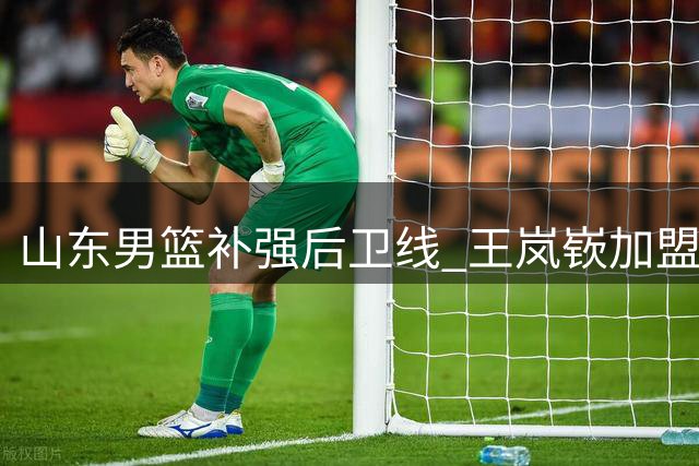 山东男篮补强后卫线 王岚嵚加盟带来新希望