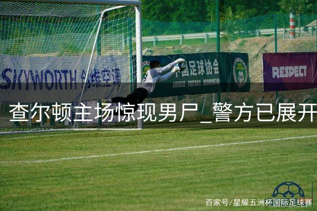 查尔顿主场惊现男尸 警方已展开刑事调查