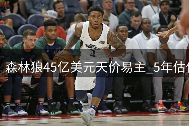 森林狼45亿美元天价易主 5年估值翻三倍引爆NBA球队争夺战