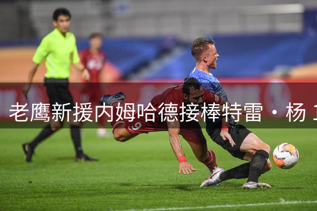 老鹰新援内姆哈德接棒特雷·杨 11号战袍传承球队荣光